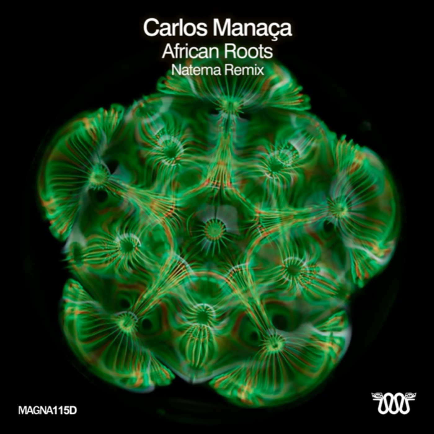African Roots (Natema Remix)